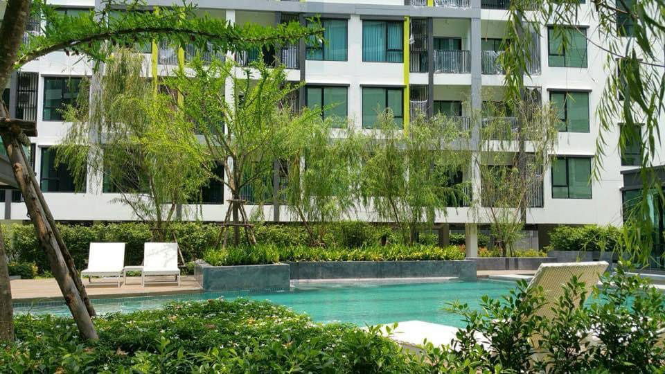 รูป ขาย!! The Niche Mono Sukhumvit 50 ขนาด 29 ตรม. ราคา 2.59 ล้านบาท พร้อมเฟอร์และเครื่องใช้ไฟฟ้า  - รูปที่ 9/11