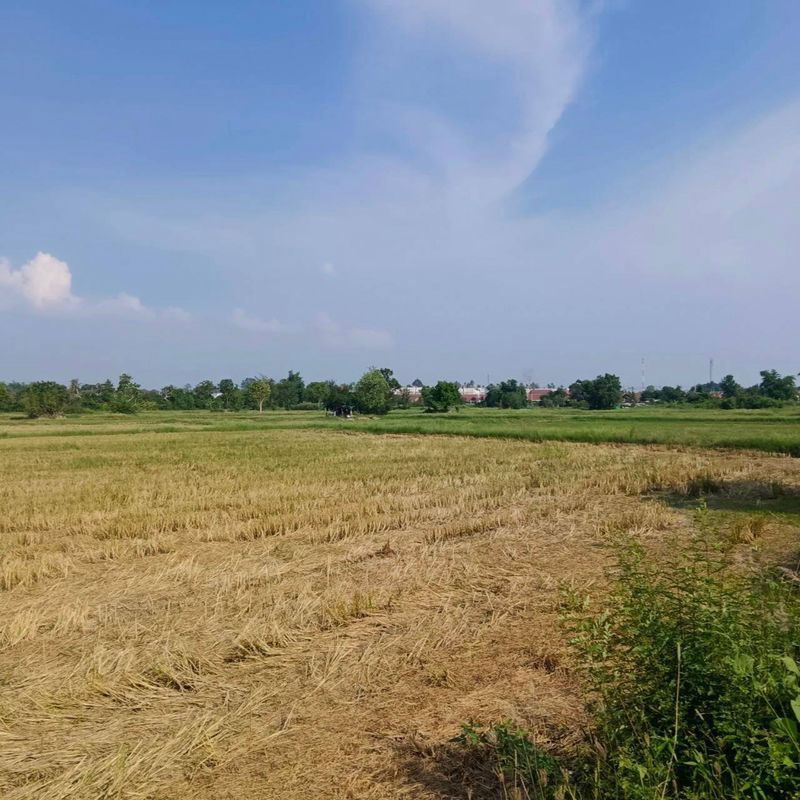 picture Land for sale in Bueng Sriracha, beautiful plot, good location, orange area - 3/7