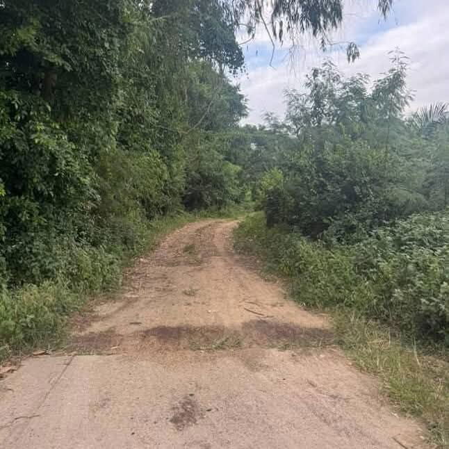 picture Land for sale near Ocean Marina Pattaya - 2/8