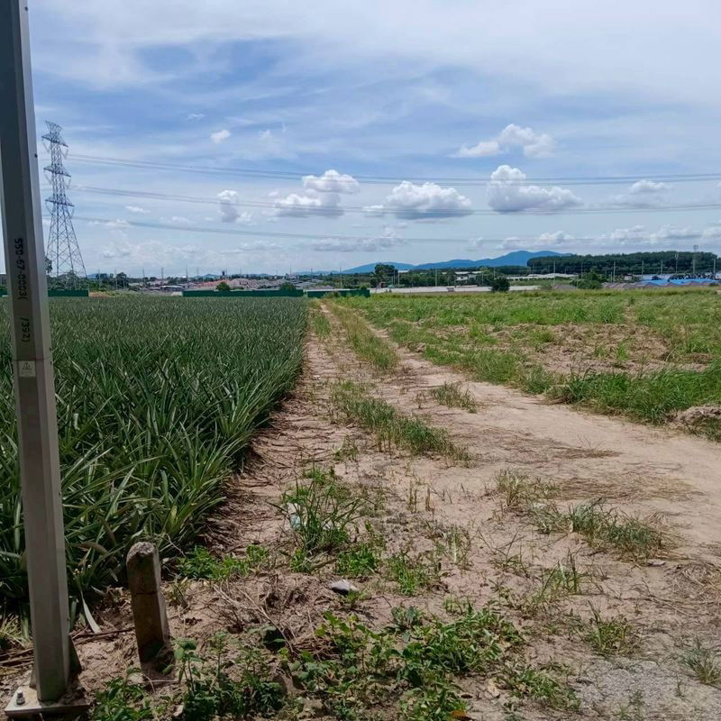 picture Land for sale in Map Yang Phon, Plaeng Daeng, Rayong. Beautiful plot, good price. - 5/8