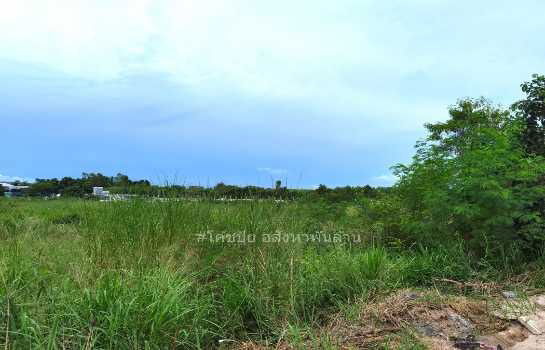 รูป ขาย ที่ดิน ถูกสุดในย่านนี้ ME375 EECม่วงลาย ติดถนนบูรพาพัฒน์ บ้านฉาง ระยอง . 12 ไร่ 1 งาน 29 ตรว ใกล้ท่าเรือมาบตาพุด นิคมมาบตาพุด เพียง 8 Km - รูปที่ 4/12