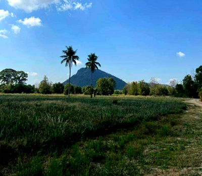 Land for sale Petchburi : Land for sale in Sam Phraya Cha-am, Phetchaburi Province, 19-1-97 rai Suitable to buy for investment. Price 25 MB.*