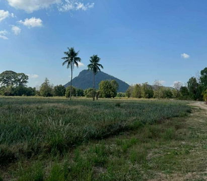 Land for sale in Sam Phraya Cha-am, Phetchaburi Province, 19-1-97 rai Suitable to buy for investment. Price 25 MB.*
