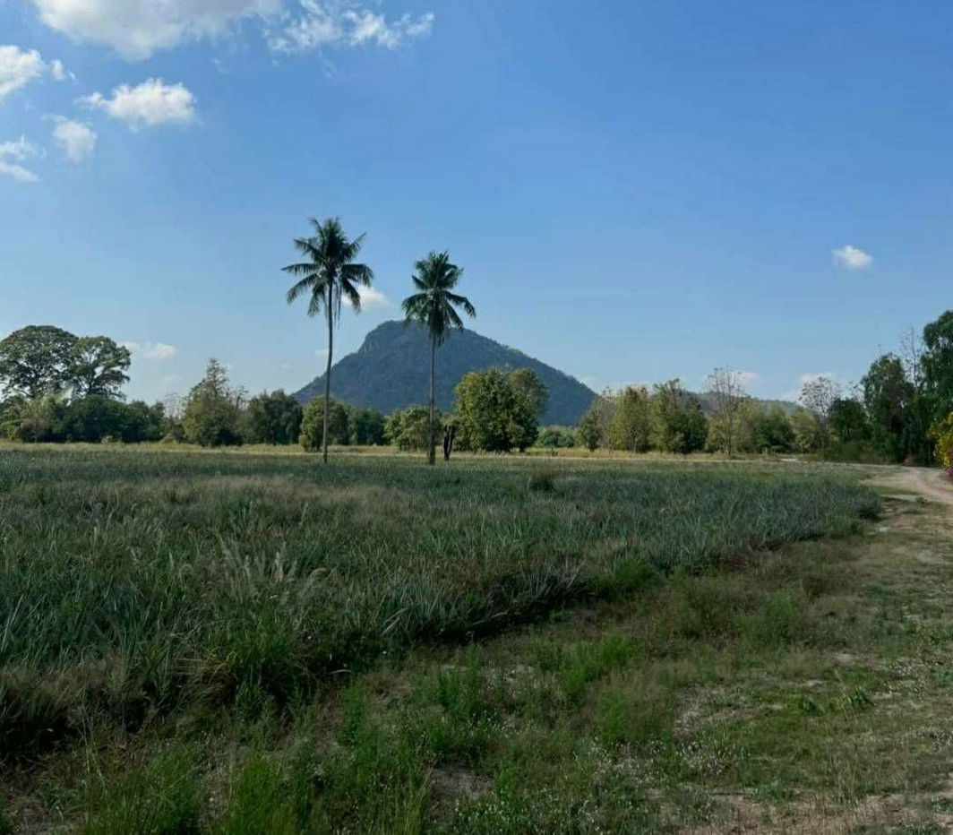 picture Land for sale in Sam Phraya Cha-am, Phetchaburi Province, 19-1-97 rai Suitable to buy for investment. Price 25 MB.* - 1/9