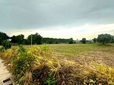 Land for sale Ammata City Industrial Estate : Land for sale in Bowin, Sriracha. Very beautiful plot, good price, next to public road.