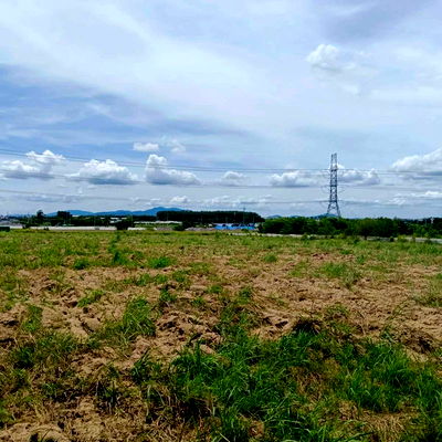 Land for sale Rayong : Land for sale in Map Yang Phon, Plaeng Daeng, Rayong. Beautiful plot, good price.