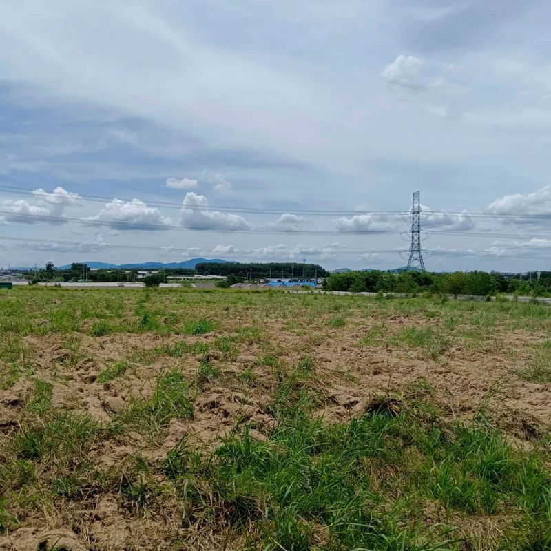 picture Land for sale in Map Yang Phon, Plaeng Daeng, Rayong. Beautiful plot, good price. - 1/8