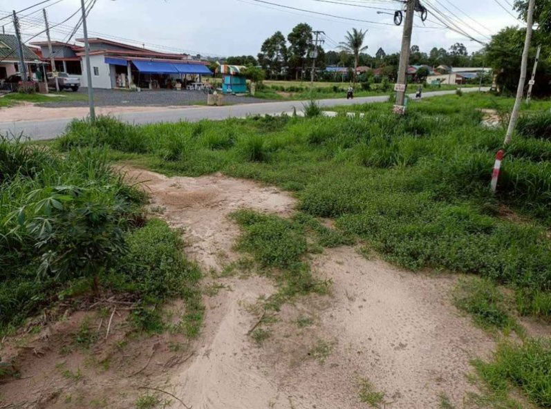 รูป ขายที่ดินระยอง แปลงสวย ทำเลดี เขตนิคมพัฒนา  - รูปที่ 7/9