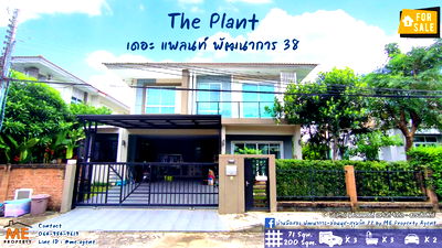 บ้านเดี่ยว ม.นานาชาติแสตมฟอร์ด : ขายบ้านเดี่ยว The Plant พัฒนาการ 38 พร้อมเฟอร์นิเจอร์ ใกล้เอกมัย ทองหล่อ สุขุมวิท โทร 064-954-9619 (BF16-71