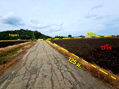 Land for sale : ❤️Sale Land Lop Buri price 800,000 baht / per one plantation❤️ *085-9416915*❤️