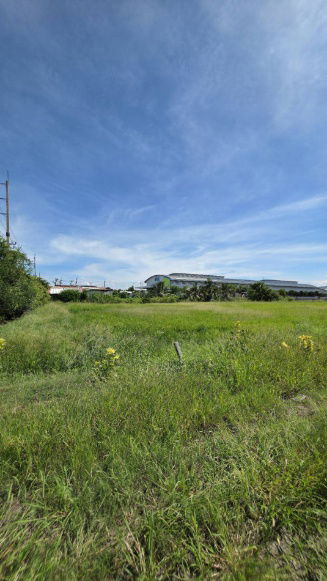 picture Land for sale in Sai Noi, 13 rai, 2 ngan, 23 sq m, near the Heineken beer factory, price lower than market, suitable for investment. - 5/9