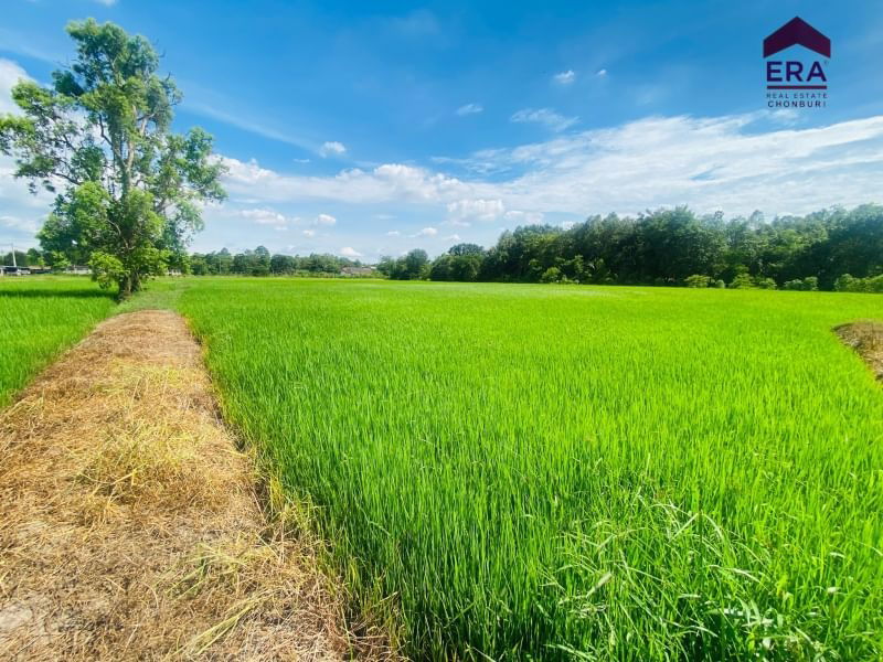 รูป ขายที่ดินเปล่าแปลงใหญ่ ติดถนนหลัก ใกล้ถนนมิตรภาพ โคราช 12ไร่ 144.9 ตรว. - รูปที่ 4/12