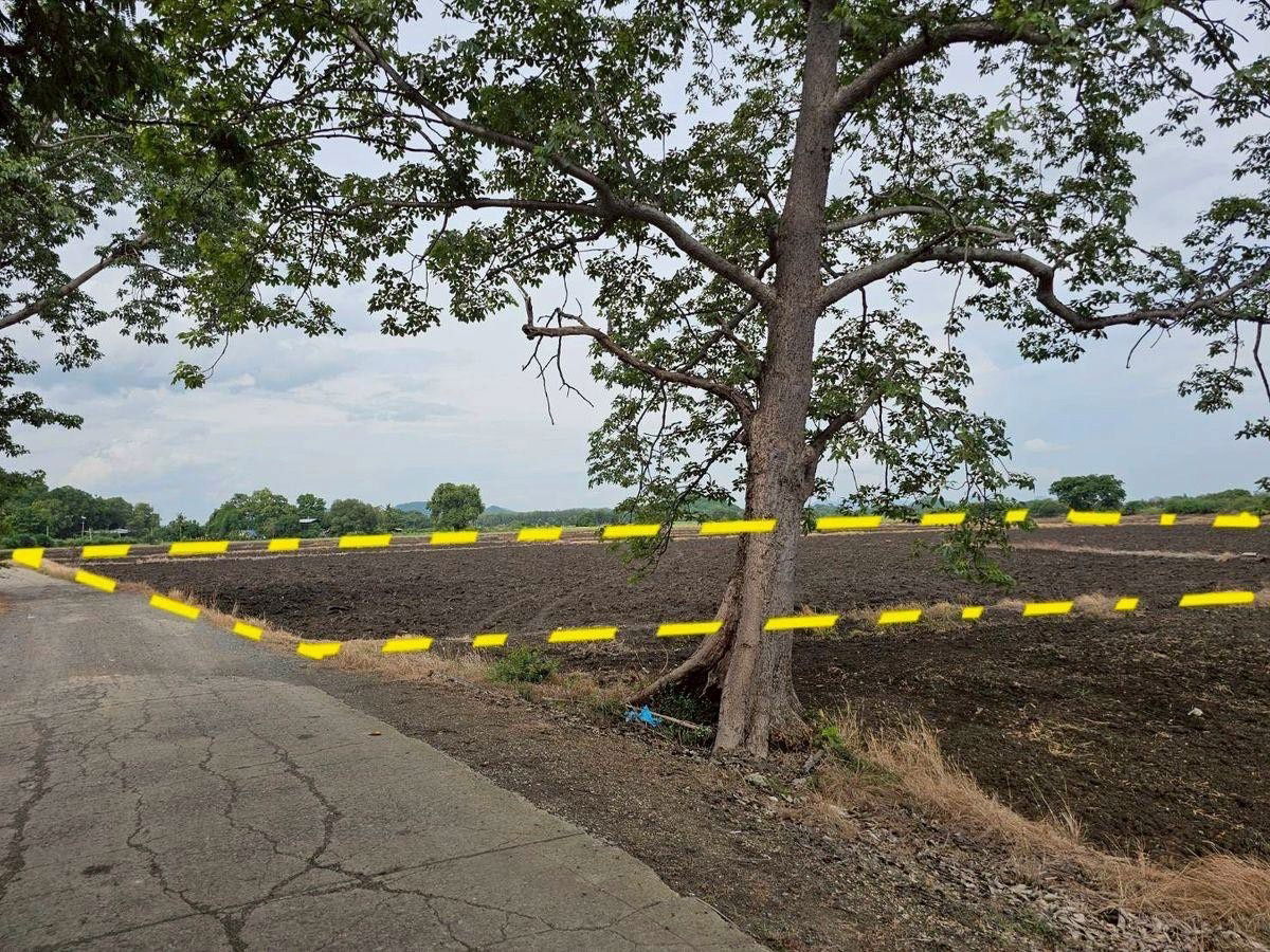 picture ❤️Sale Land Lop Buri price 800,000 baht / per one plantation❤️ *085-9416915*❤️ - 4/8