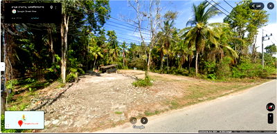 ที่ดิน นครศรีธรรมราช : 🌴 ด่วน! ขายที่ดิน 6ไร่ 60 ตร.ว. พร้อมสวนปาล์ม ถมที่แล้ว น้ำไม่ท่วม จังหวัดนครศรีธรรมราช