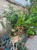 listing thumbnail image 4