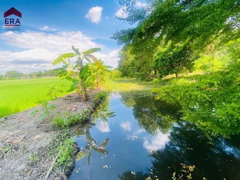 รูป ขายที่ดินเปล่าแปลงใหญ่ ติดถนนหลัก ใกล้ถนนมิตรภาพ โคราช 12ไร่ 144.9 ตรว. - รูปที่ 11/12