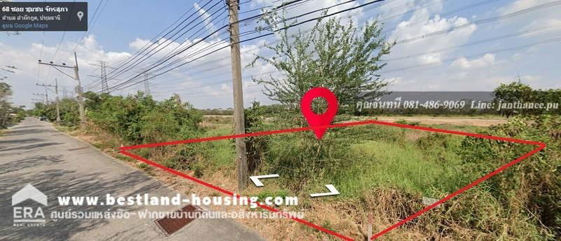 รูป ขายที่ดินเปล่า 50 ตร.วาใน ซอยชุมชนจักรสุภา คลอง 7 ถนนรังสิต-นครนายก(ทล.305) ปทุมธานี - รูปที่ 2/7