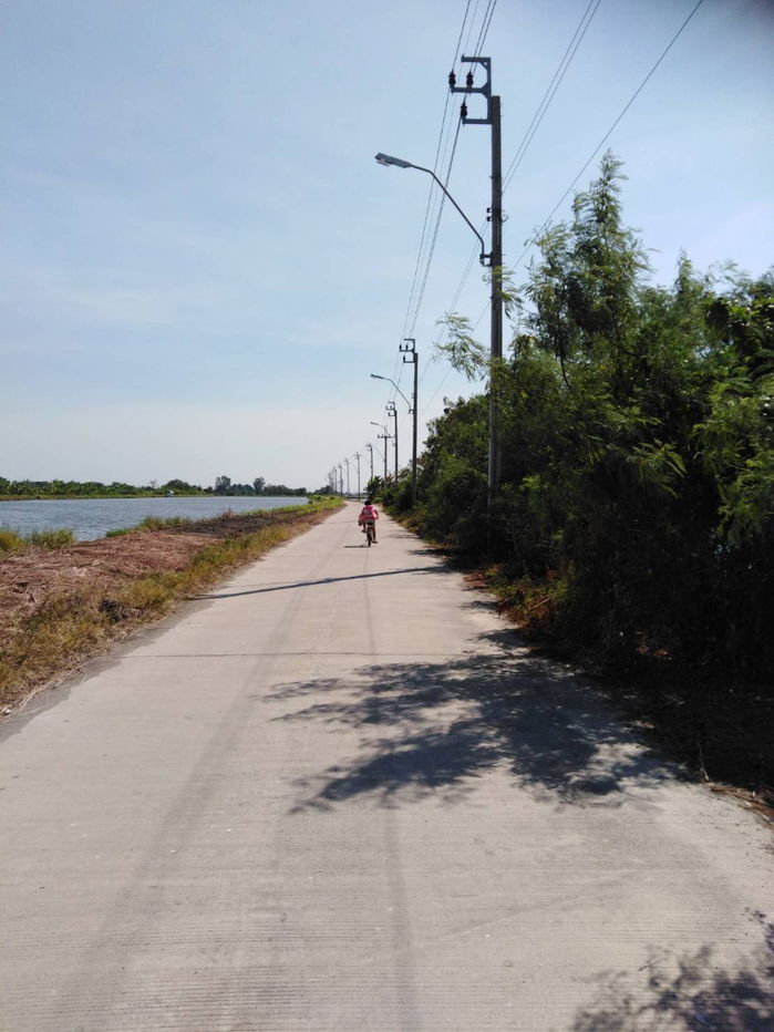 รูป ที่ดิน 4-2-50ไร่ ใกล้วัดป่าสุขใจ  บางบ่อ จังหวัดสมุทรปราการ - รูปที่ 2/4