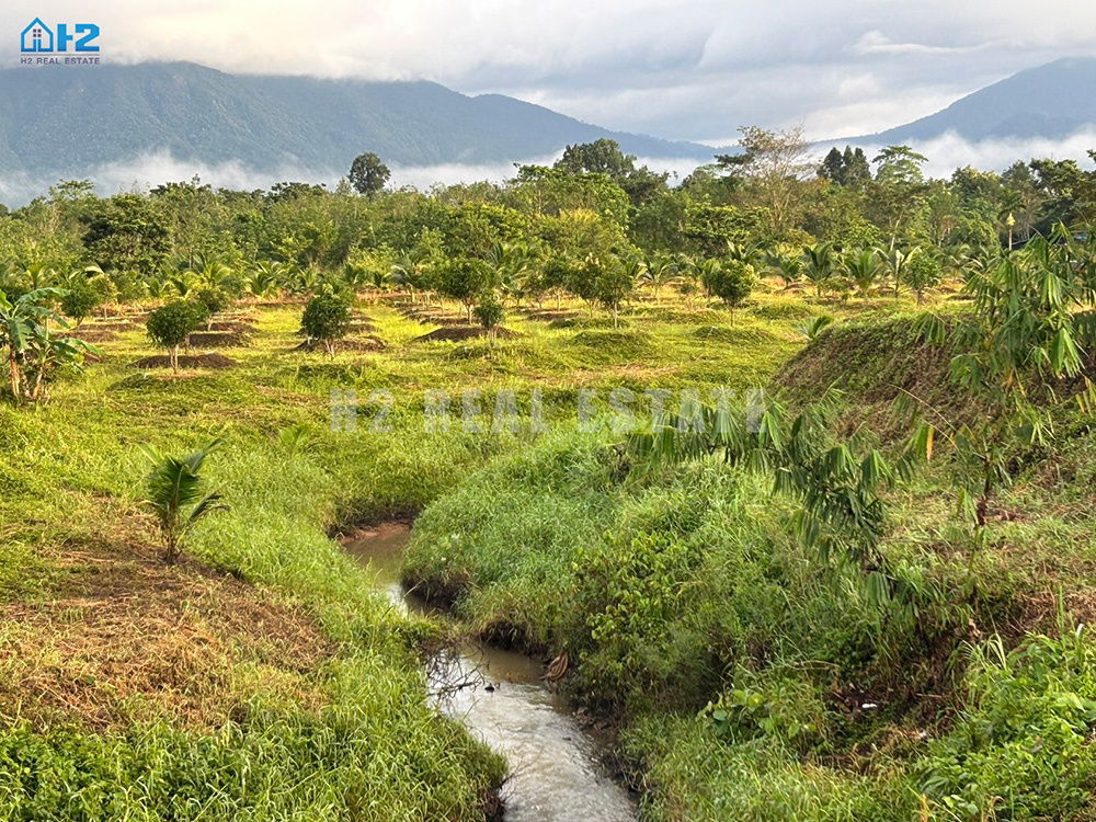 รูป ขายที่ดินจันทบุรีสวยมากๆ  ที่ดินขนาด 70 ไร่ ติดถนนใหญ่เส้น จันทบุรี-สระแก้ว ทางหลวงหมายเลข 317  - รูปที่ 19/23