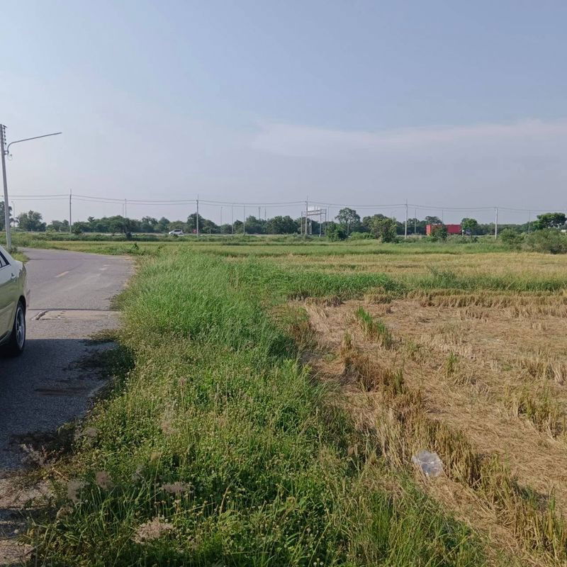 picture Land for sale in Bueng Sriracha, beautiful plot, good location, orange area - 5/7