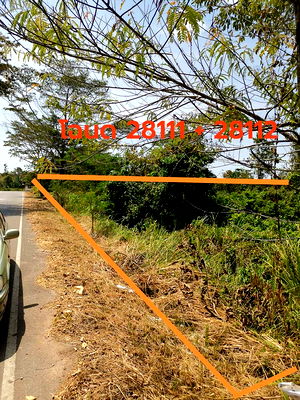 Land for sale Satun : Lan for sale 3 rai 121 sq.wah adjacent to Ampur Muang Satul