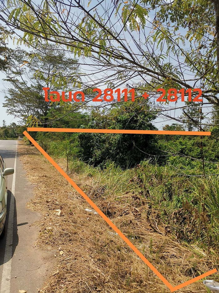 picture Lan for sale 3 rai 121 sq.wah adjacent to Ampur Muang Satul - 1/5