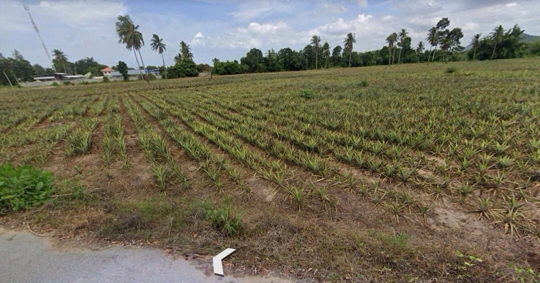 picture Land for sale in Sam Phraya Cha-am, Phetchaburi Province, 19-1-97 rai Suitable to buy for investment. Price 25 MB.* - 6/9