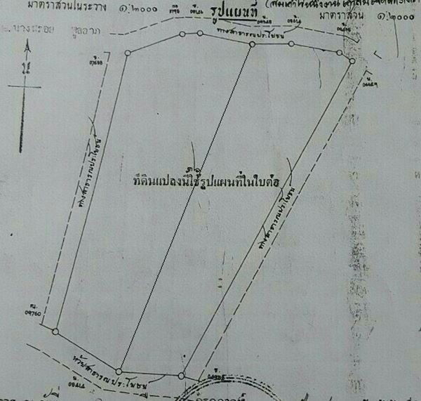 picture Land for sale in Cha-Am-Pranburi Road, Sam Phraya , Cha-Am , Petchburi, 350M.  from Petchkasem-Bypass Road, 9 Rai 2 ngan 98 square wah, price12.5 MB.* - 9/9