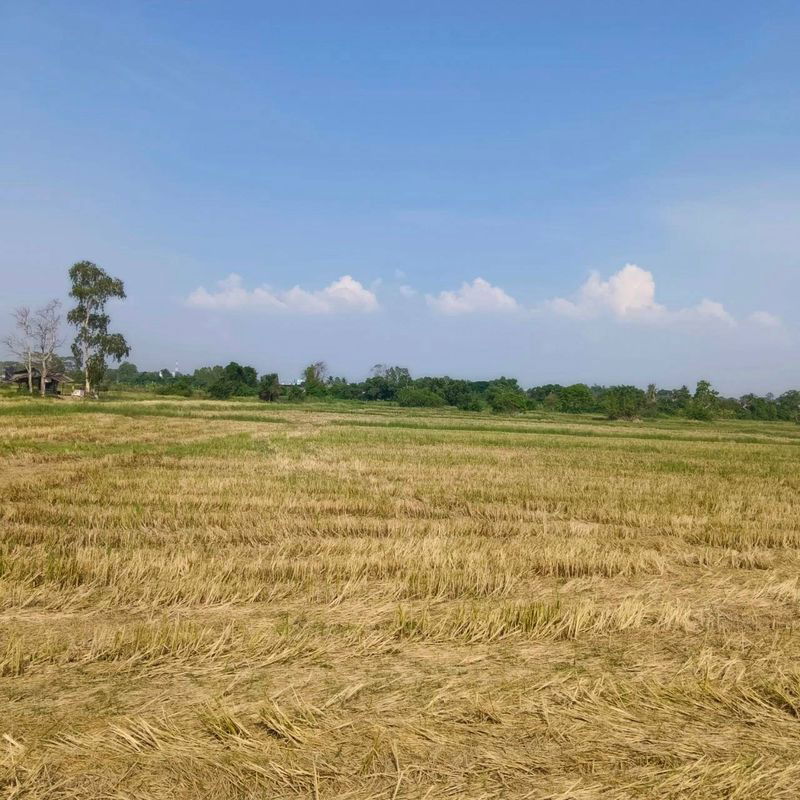 picture Land for sale in Bueng Sriracha, beautiful plot, good location, orange area - 2/7