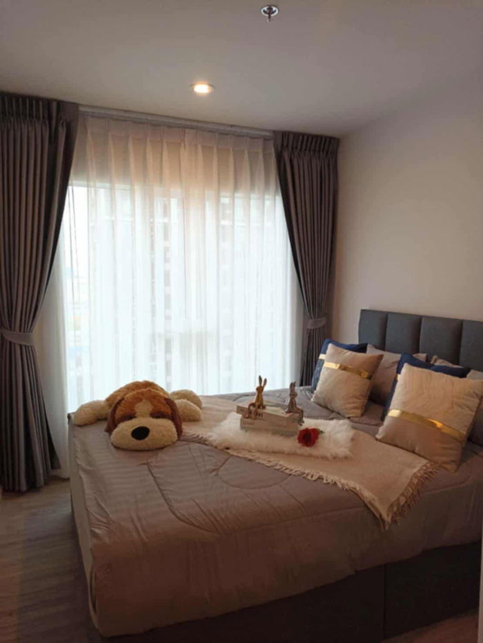 รูป WS2125 [เช่า] Regent Home Bangna 💰 ค่าเช่า 11,000 บาท/เดือน  💰 ค่าเช่า 11,000 บาท/เดือน - รูปที่ 2/13