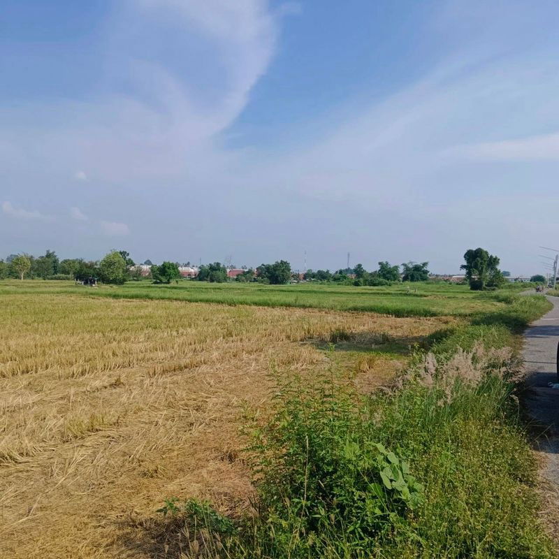 picture Land for sale in Bueng Sriracha, beautiful plot, good location, orange area - 4/7