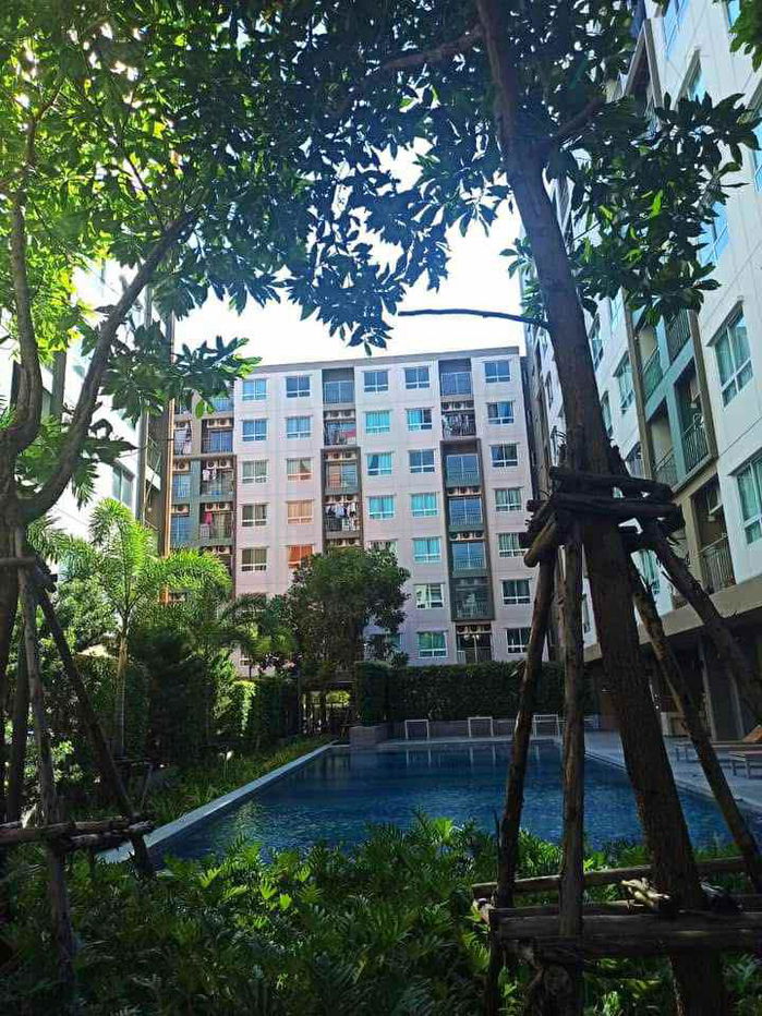 รูป ขายคอนโด ลุมพินี วิลล์ สุขุมวิท 76-แบริ่ง สเตชั่น 2 อาคาร B ชั้น 3 สตูดิโอ ขนาด 25.00 ตรม ใกล้ อิมพีเรียล เวิลด์ สำโรง - รูปที่ 6/8