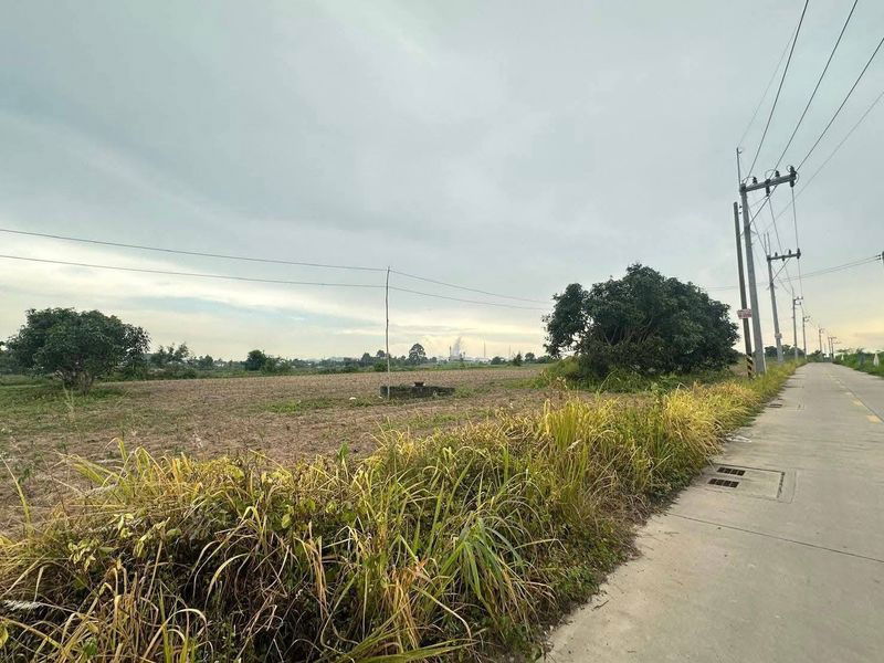 รูป ขายที่ดินบ่อวิน ศรีราชา แปลงสวยมาก ราคาดี ติดถนนสาธารณะ - รูปที่ 2/4