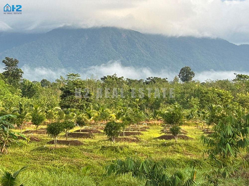 รูป ขายที่ดินจันทบุรีสวยมากๆ  ที่ดินขนาด 70 ไร่ ติดถนนใหญ่เส้น จันทบุรี-สระแก้ว ทางหลวงหมายเลข 317  - รูปที่ 20/23