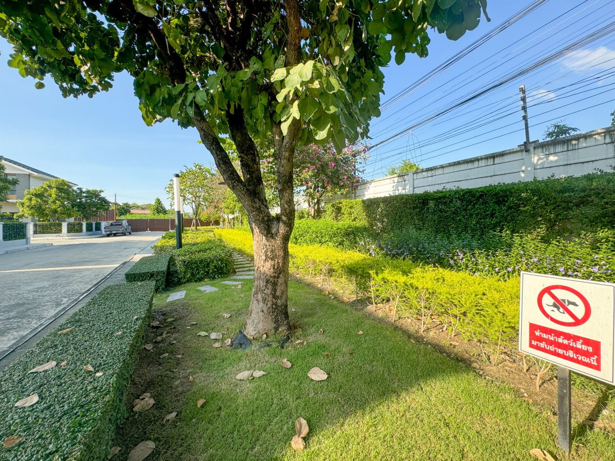picture 📍[For Sale] Single House – Perfect Place Rangsit–Bangpoon Expressway | Fully Furnished & Ready to Move-in - 55/63