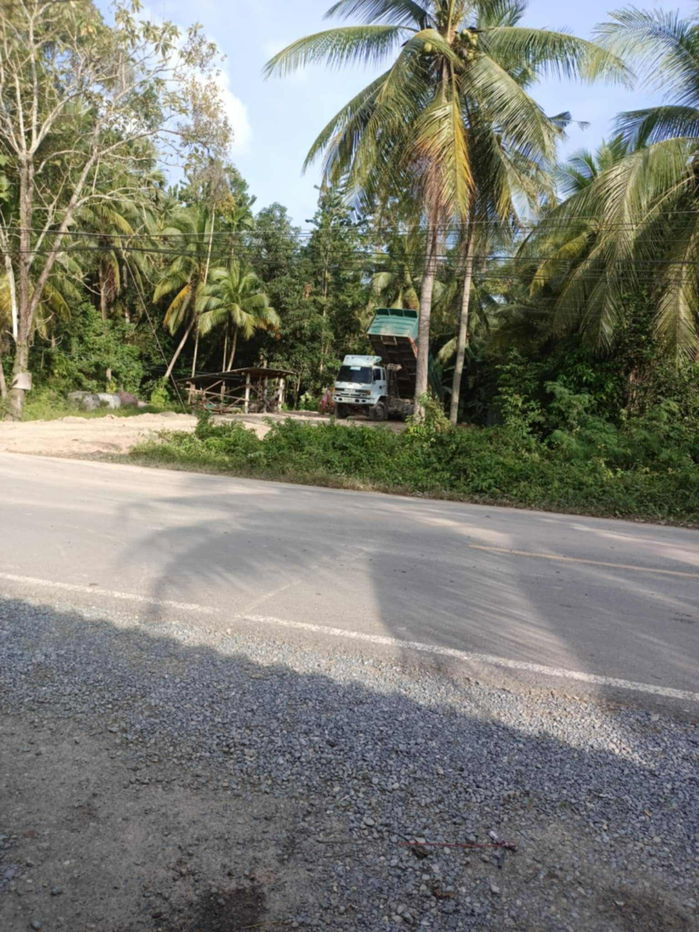 รูป 🌴 ด่วน! ขายที่ดิน 6ไร่ 60 ตร.ว. พร้อมสวนปาล์ม ถมที่แล้ว น้ำไม่ท่วม จังหวัดนครศรีธรรมราช - รูปที่ 3/6