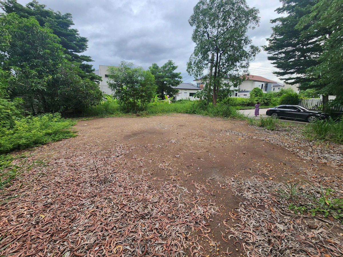 รูป ขายที่ดิน 68 ตรว. ในหมู่บ้าน Neo City ดอนเมือง กรุงเทพฯ เจ้าของขายเอง - รูปที่ 1/7
