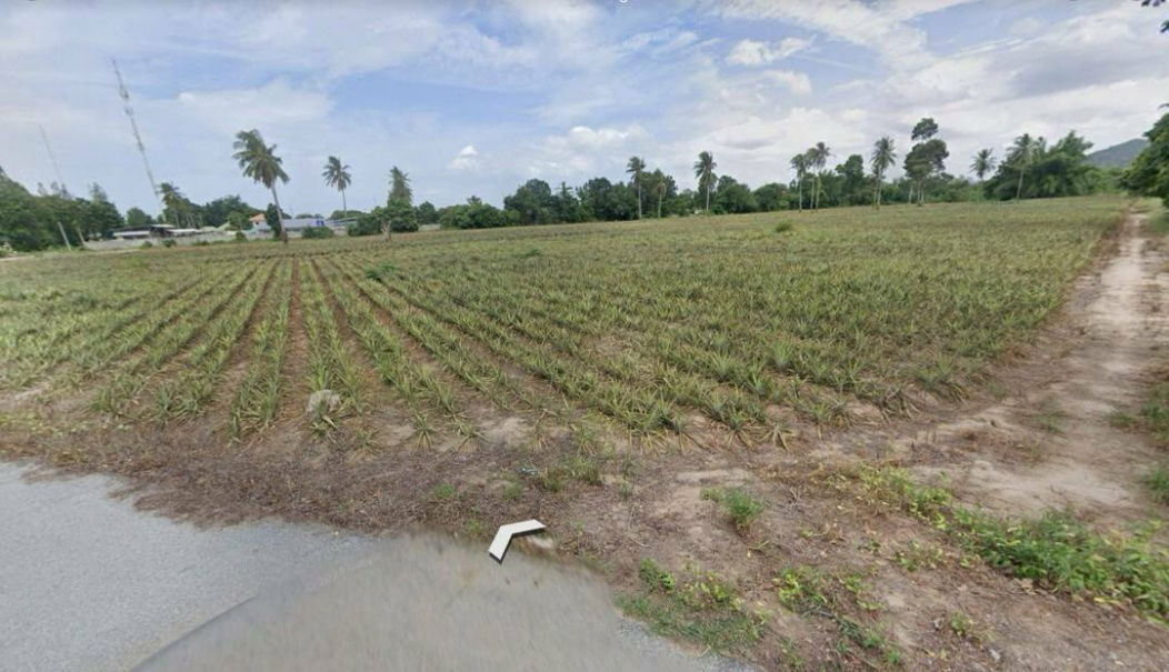 picture Land for sale in Sam Phraya Cha-am, Phetchaburi Province, 19-1-97 rai Suitable to buy for investment. Price 25 MB.* - 5/9