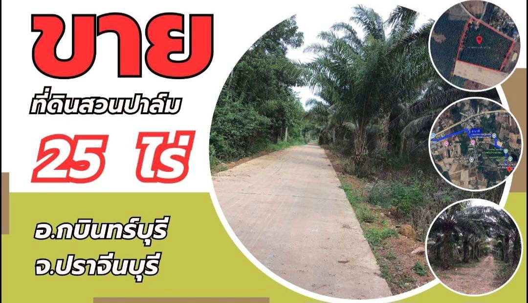 picture Land for Sale – 25 Rai in Kabin Buri, Prachinburi | Excellent Investment Opportunity at a Great Price - 1/10