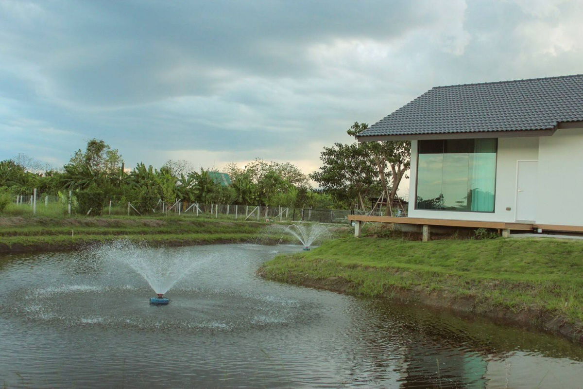 picture House for sale land size  1 rai , near maekeu market 3.5 km. - 3/8