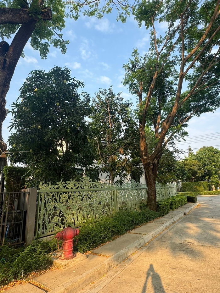 รูป ให้เช่าบ้านเดี่ยว 2 ชั้น หมู่บ้านมัณฑนา กัลปพฤกษ์ - วงแหวน   - รูปที่ 18/18