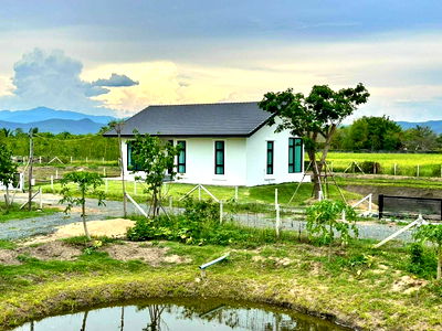 บ้านเดี่ยว วิทยาลัยทองสุข : Ph0464 ขายบ้านเดี่ยวสไตล์บ้านสวน 3 นอน 2 น้ำ ที่ดิน 1 ไร่ ขาย 3.99 ลบ. 