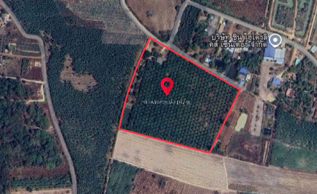 picture Land for Sale – 25 Rai in Kabin Buri, Prachinburi | Excellent Investment Opportunity at a Great Price - 10/10