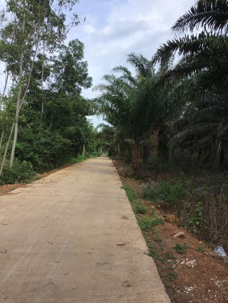 picture Land for Sale – 25 Rai in Kabin Buri, Prachinburi | Excellent Investment Opportunity at a Great Price - 3/10