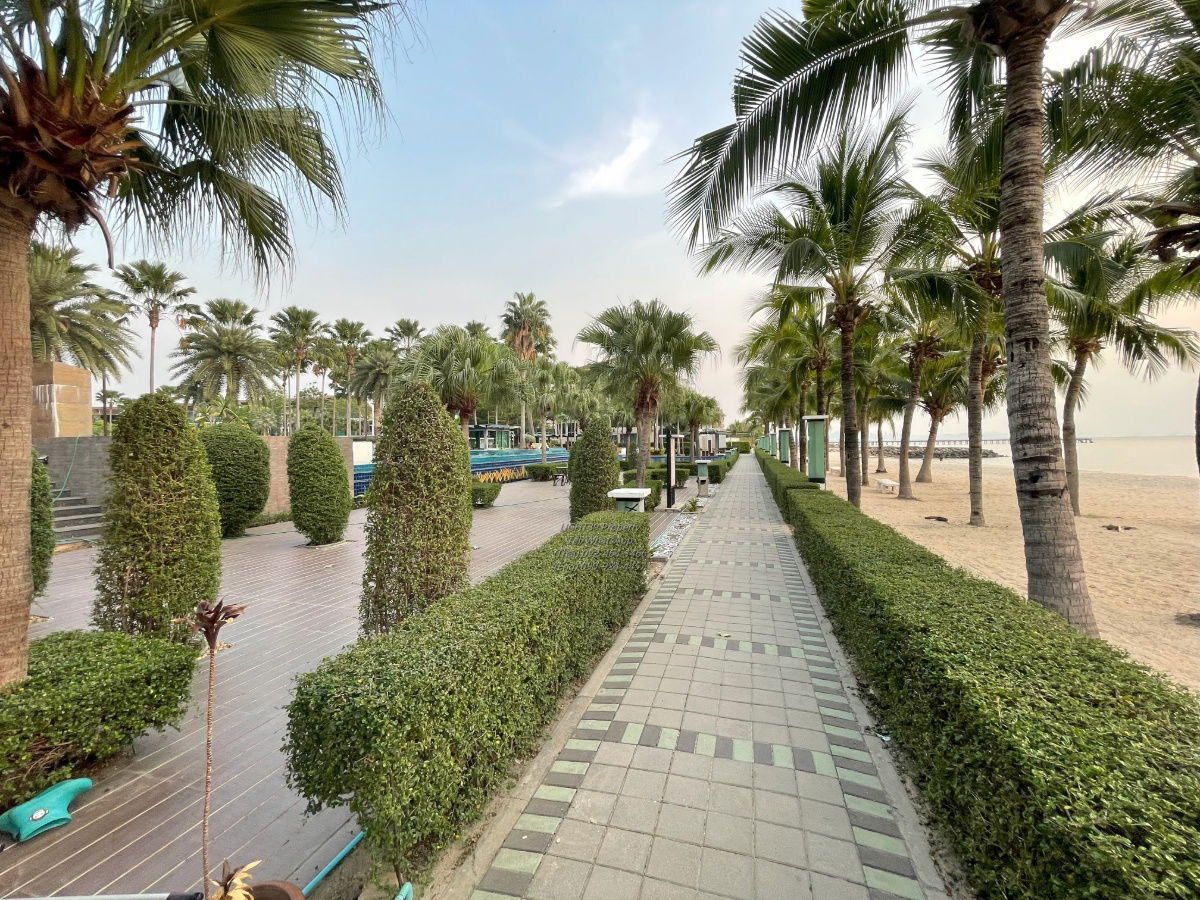รูป 🌊 ให้เช่า Casalunar Paradiso – คอนโดหรู วิวทะเล + วิวเมือง - รูปที่ 24/26