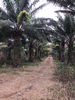 listing thumbnail image 5