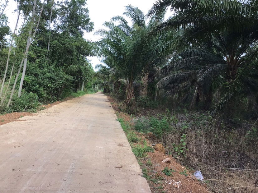 picture Land for Sale – 25 Rai in Kabin Buri, Prachinburi | Excellent Investment Opportunity at a Great Price - 2/10