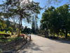 listing thumbnail image 19