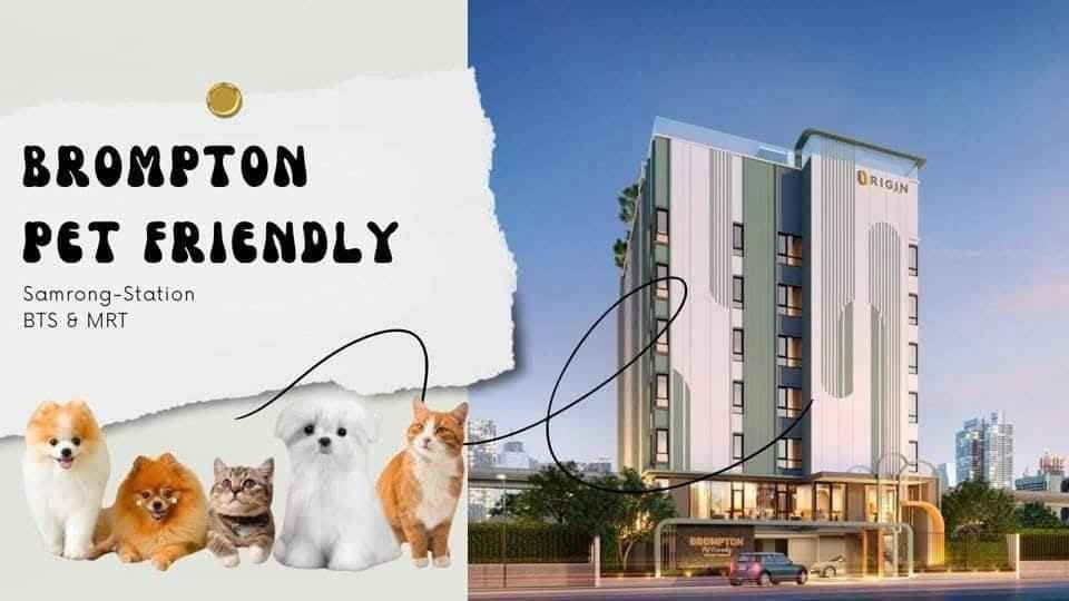 รูป R2598 ให้เช่าคอนโดเลี้ยงสัตว์ได้ Brompton Pet Friendly Samrong-Station (ว่างค่ะ) ใกล้ BTS สำโรง  - รูปที่ 7/7