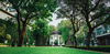 listing thumbnail image 79